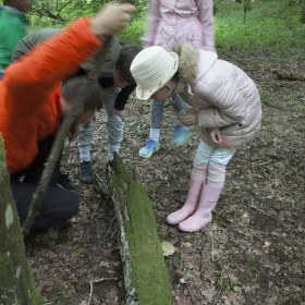 activités nature enfants