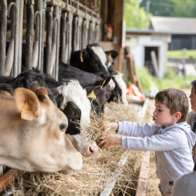 ferme coubertin visite enfants