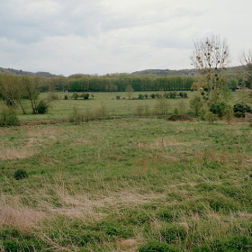 2008