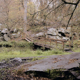 2004