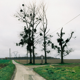 2000