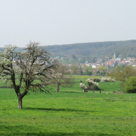 Balade autour de Chevreuse