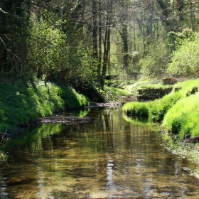 Les Coteaux de l'Yvette