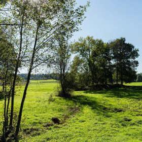 Grousrouvre entre Clairière et Forêt Royale