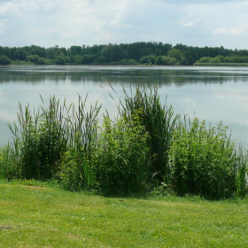 Randonnée Lisière et Campagne