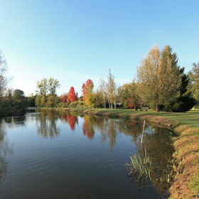 Paysage d'eau et de sable à Clairefontaine