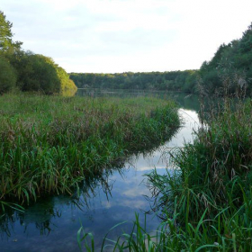 Vallée intime et rigoles royales