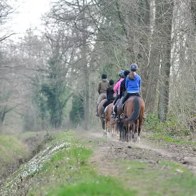2023-randonnée equestre